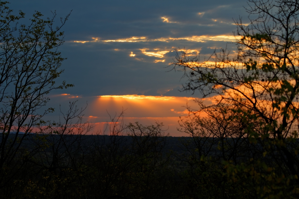 08 - Kruger NP (13).jpg